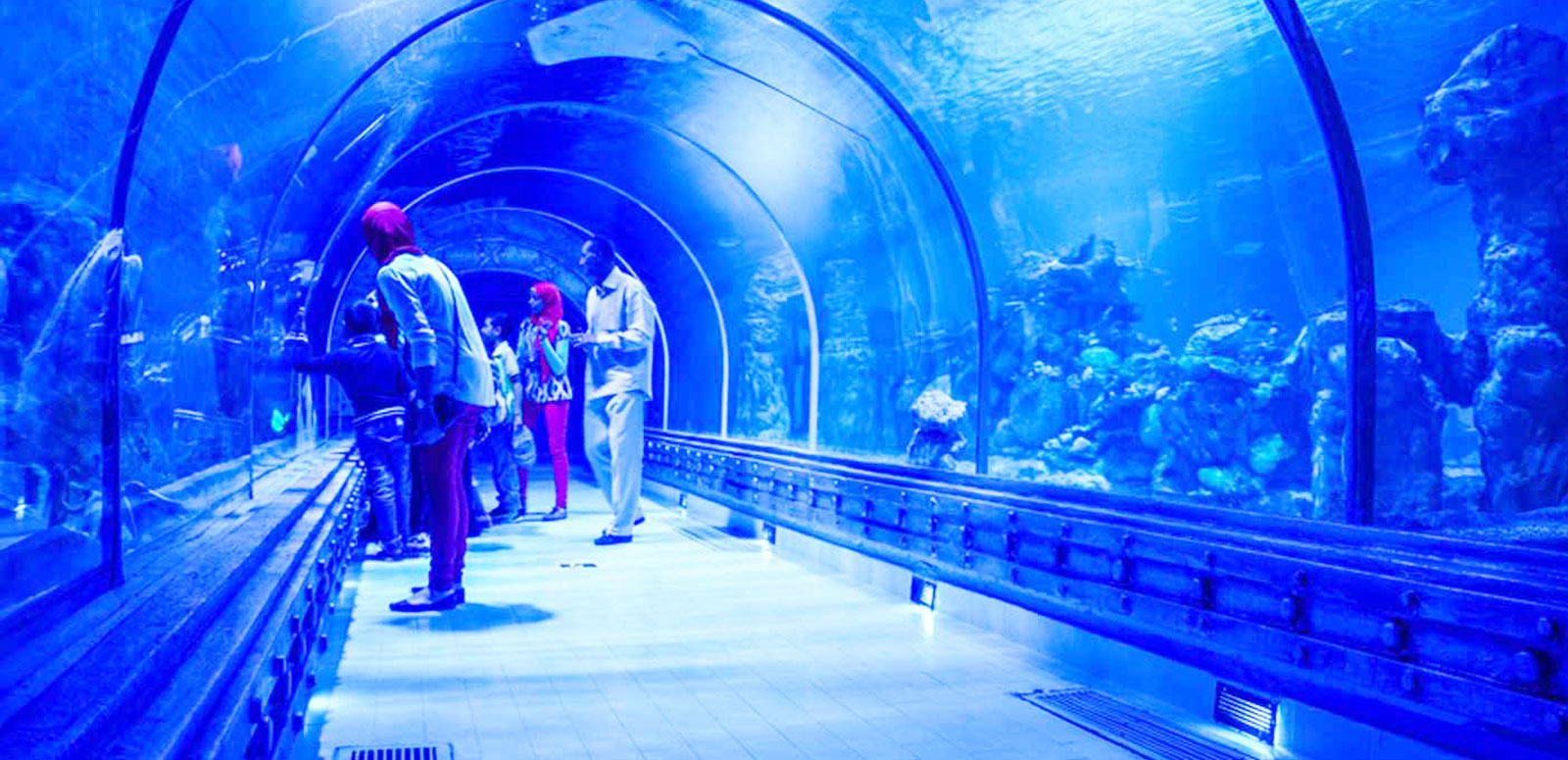 https://mdw-travel-data-us-east-1.s3.amazonaws.com/img/country/Egypt/Hurghada-Grand-Aquarium/img_01.jpg
