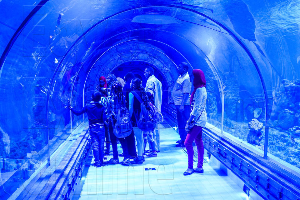 https://mdw-travel-data-us-east-1.s3.amazonaws.com/img/country/Egypt/Hurghada-Grand-Aquarium/img_03.jpg