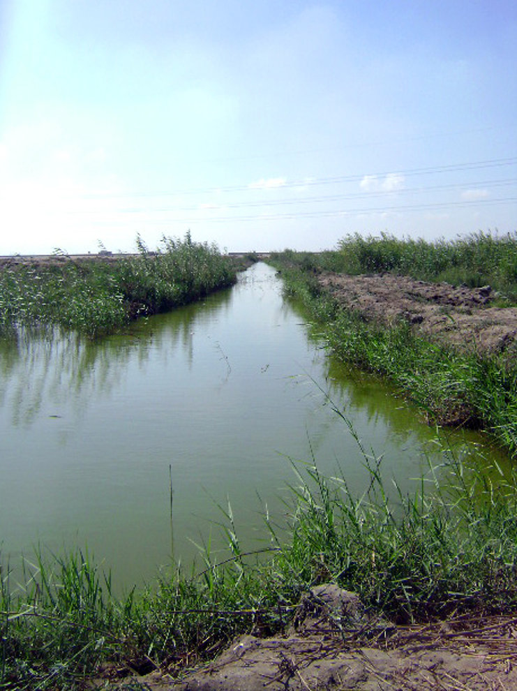 https://mdw-travel-data-us-east-1.s3.amazonaws.com/img/country/Egypt/Lake-Manzala/img_01.jpg