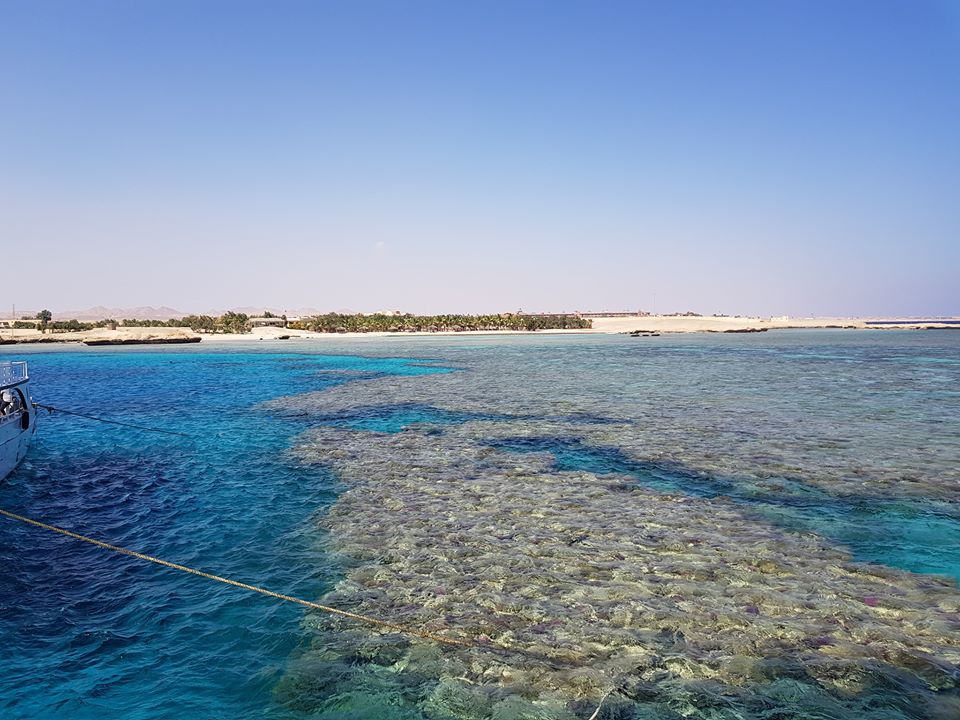 https://mdw-travel-data-us-east-1.s3.amazonaws.com/img/country/Egypt/Mangrove-Bay-Port-Ghalib/img_00.jpg