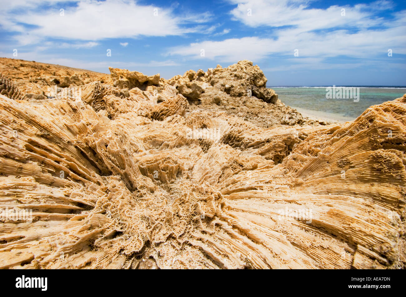 https://mdw-travel-data-us-east-1.s3.amazonaws.com/img/country/Egypt/Marsa-Nakari/img_02.jpg