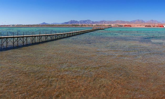 https://mdw-travel-data-us-east-1.s3.amazonaws.com/img/country/Egypt/Nabq-Reserve/img_03.jpg