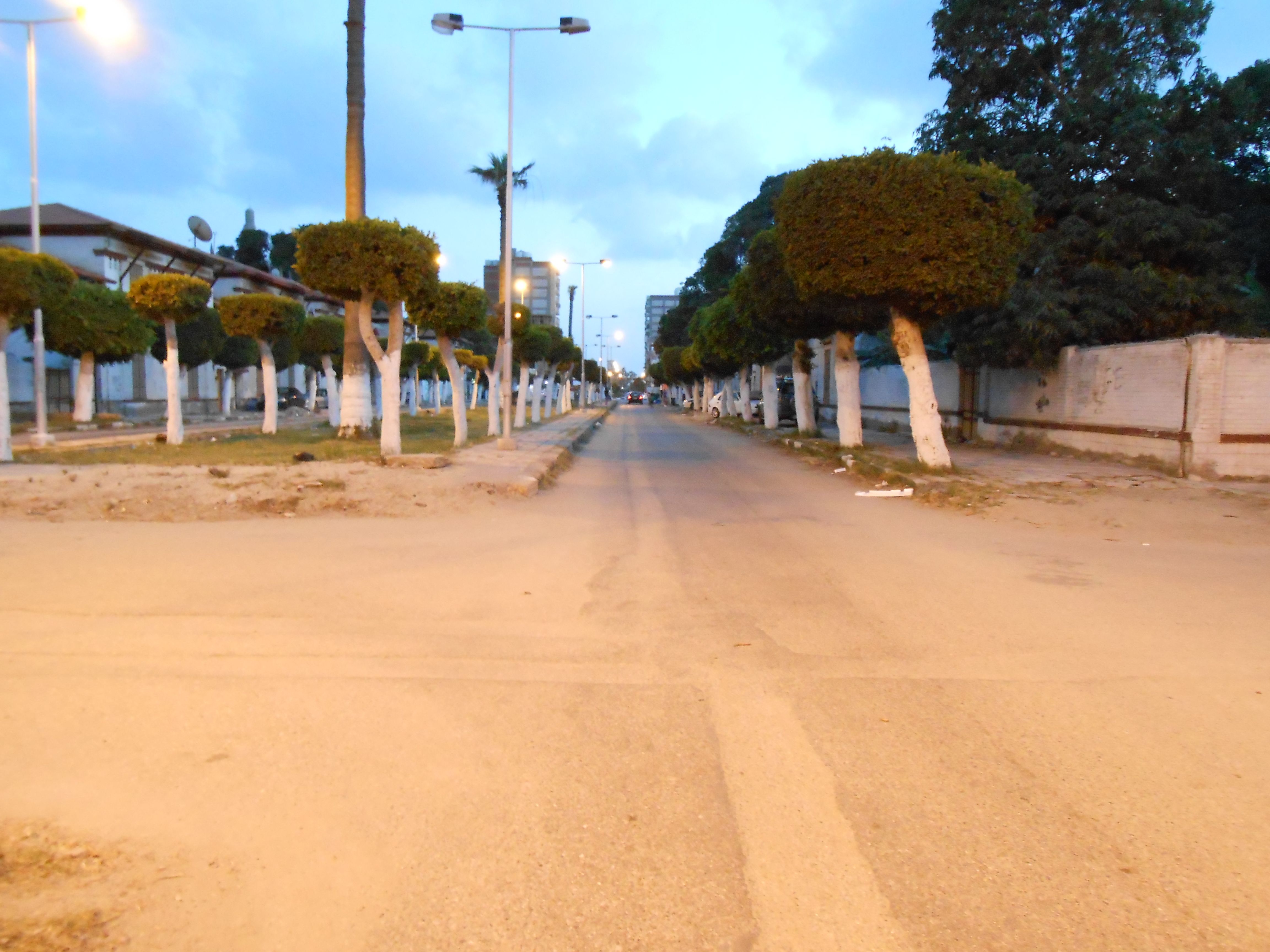 https://mdw-travel-data-us-east-1.s3.amazonaws.com/img/country/Egypt/Port-Fouad-Marina/img_01.jpg