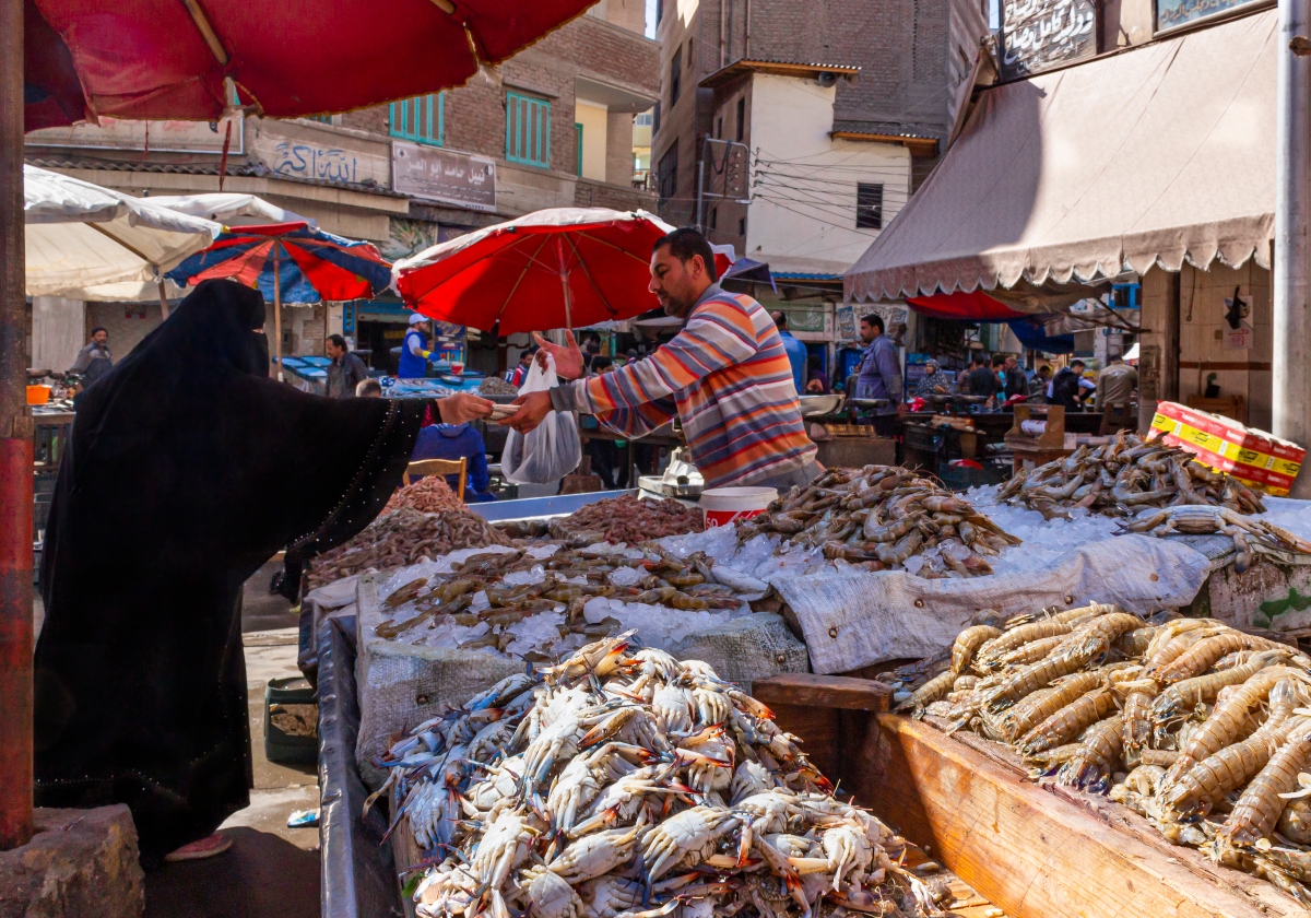 https://mdw-travel-data-us-east-1.s3.amazonaws.com/img/country/Egypt/Port-Said-Fish-Market/img_01.jpg