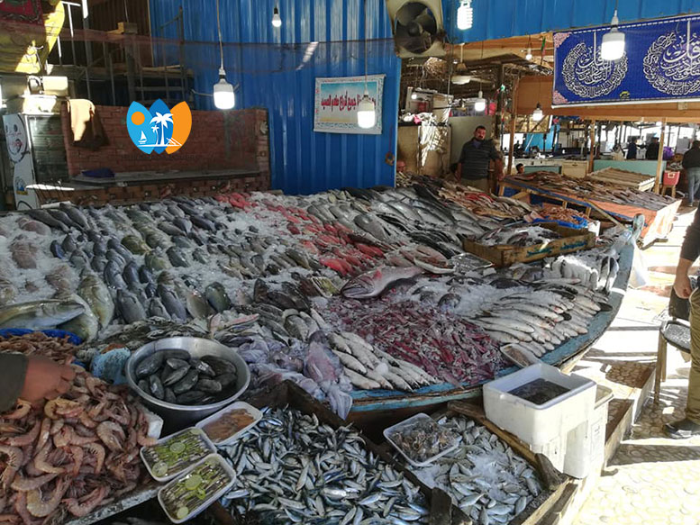https://mdw-travel-data-us-east-1.s3.amazonaws.com/img/country/Egypt/Port-Said-Fish-Market/img_02.jpg