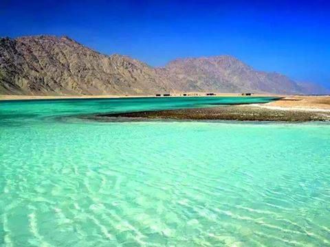 https://mdw-travel-data-us-east-1.s3.amazonaws.com/img/country/Egypt/Ras-Abu-Galum-National-Park/img_02.jpg