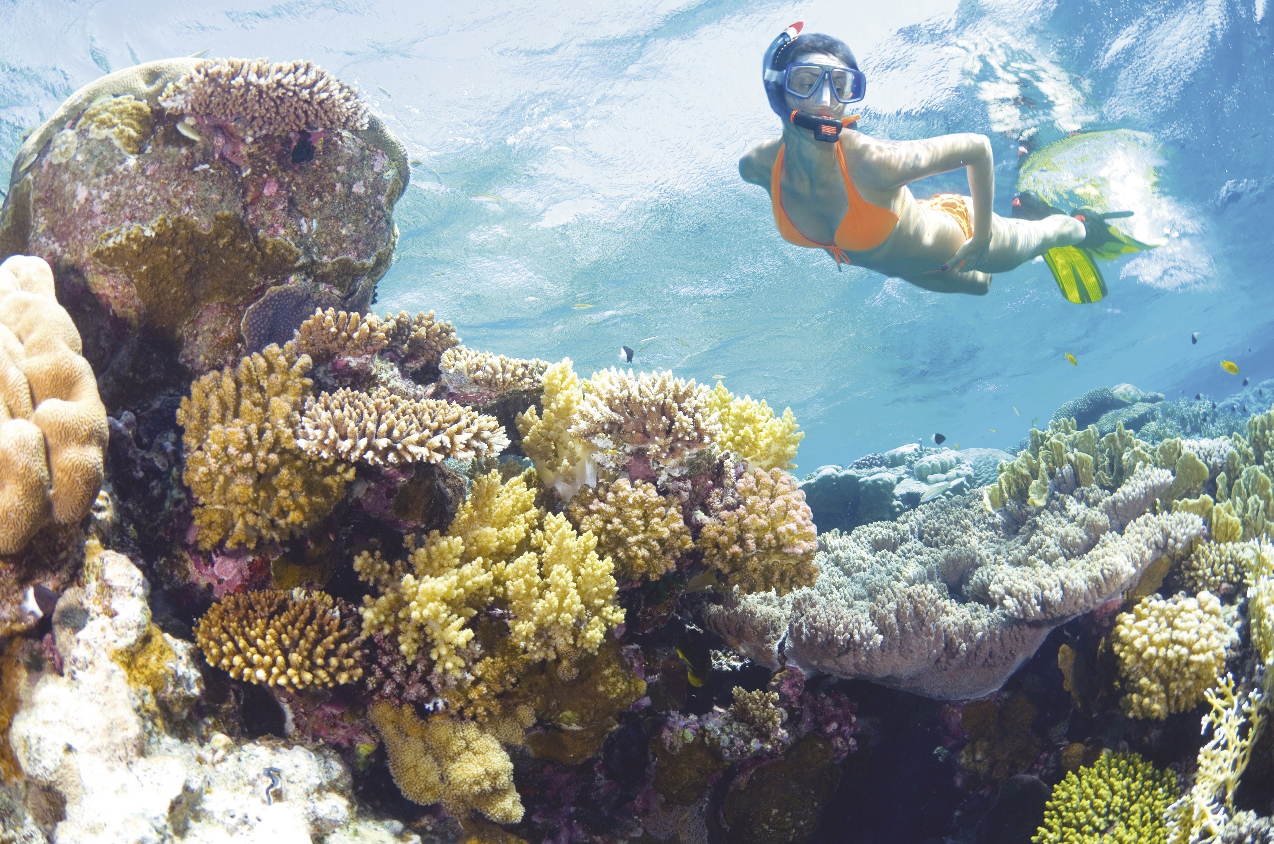 https://mdw-travel-data-us-east-1.s3.amazonaws.com/img/country/Egypt/Sataya-Reef/img_01.jpg