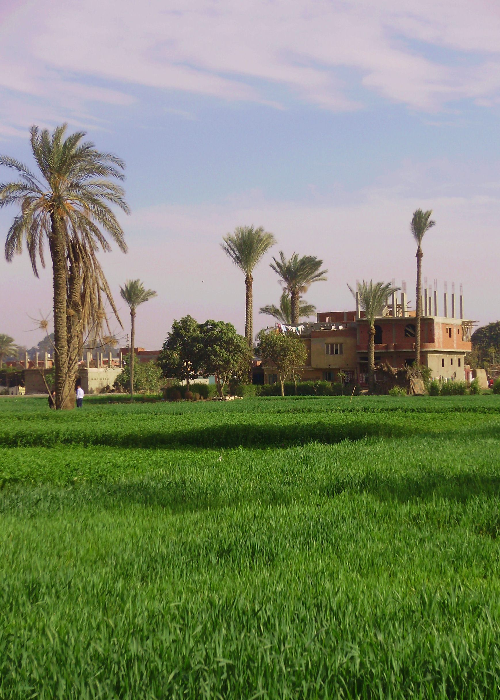 https://mdw-travel-data-us-east-1.s3.amazonaws.com/img/country/Egypt/Sharkia-Museum/img_03.jpg