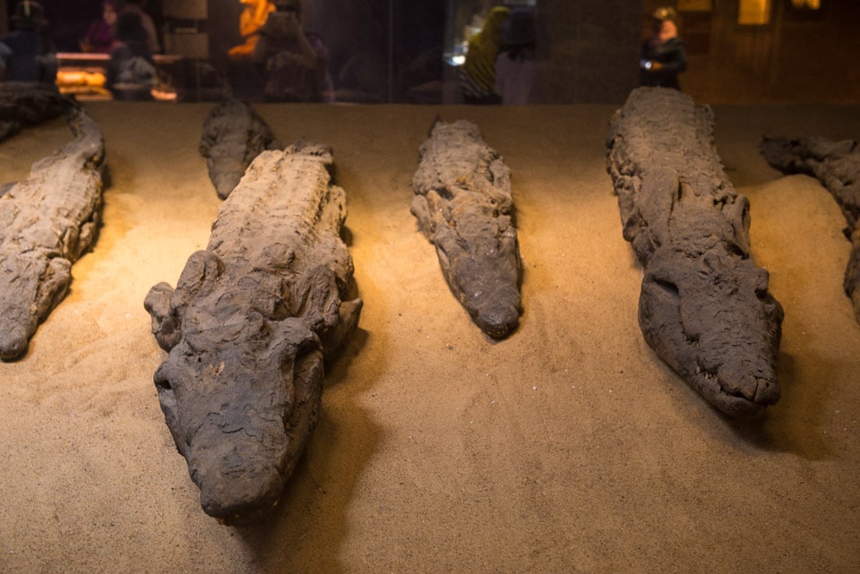 https://mdw-travel-data-us-east-1.s3.amazonaws.com/img/country/Egypt/Sobek-Temple/img_02.jpg