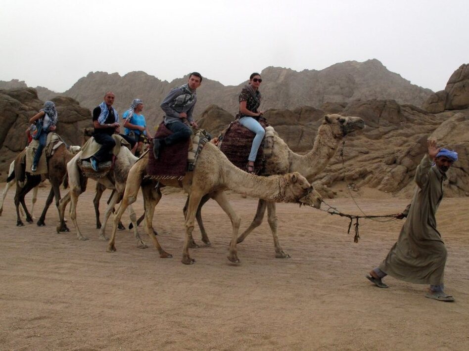 https://mdw-travel-data-us-east-1.s3.amazonaws.com/img/country/Egypt/Tarabeen-Bedouin-Village/img_02.jpg