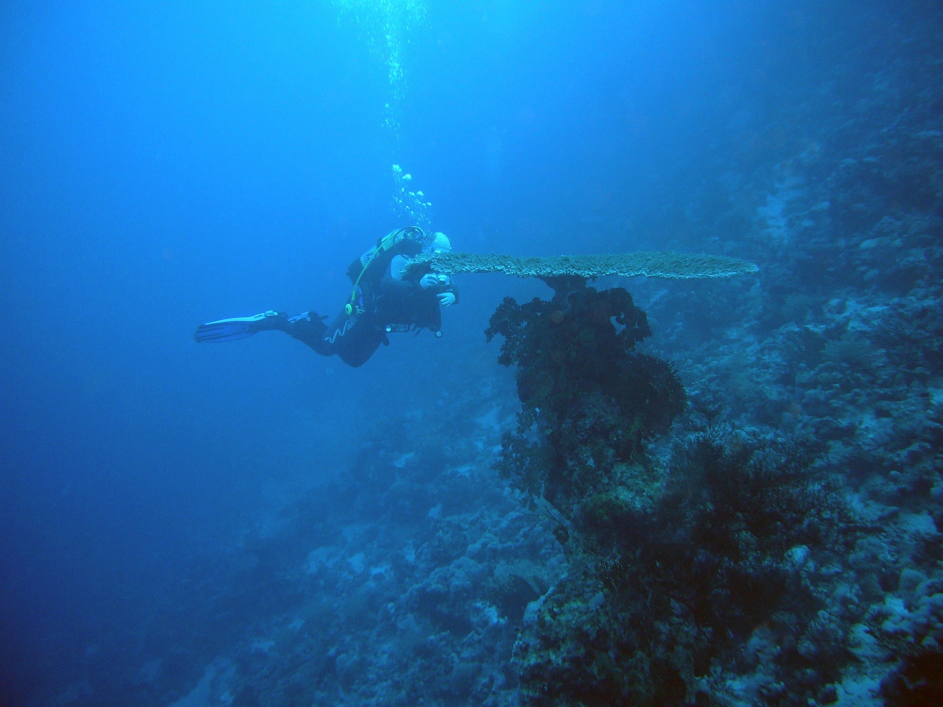 https://mdw-travel-data-us-east-1.s3.amazonaws.com/img/country/Egypt/The-Diving-Experience/img_03.jpg