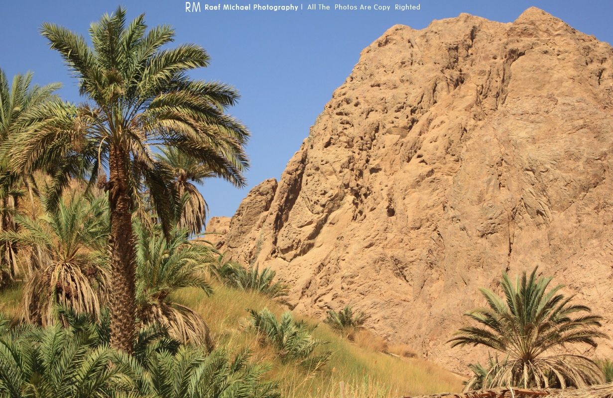 https://mdw-travel-data-us-east-1.s3.amazonaws.com/img/country/Egypt/Wadi-Gnai/img_01.jpg