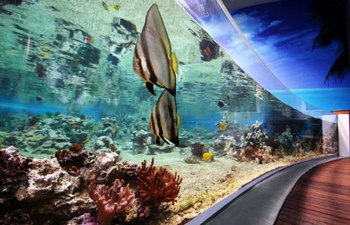 https://mdw-travel-data-us-east-1.s3.amazonaws.com/img/country/France/Aquarium-Mare-Nostrum/img_03.jpg