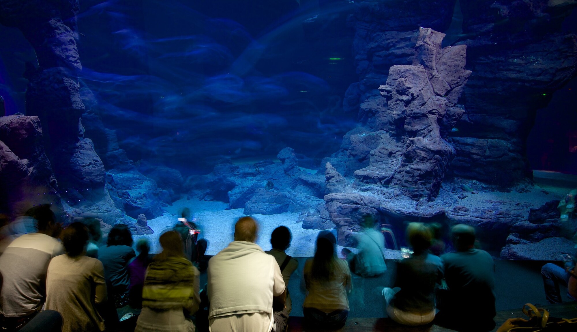 https://mdw-travel-data-us-east-1.s3.amazonaws.com/img/country/France/Aquarium-Mare-Nostrum/img_04.jpg