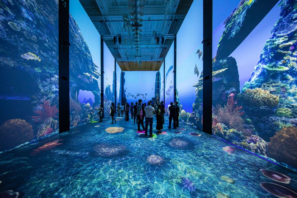 https://mdw-travel-data-us-east-1.s3.amazonaws.com/img/country/France/Aquarium-de-Monaco/img_00.jpg