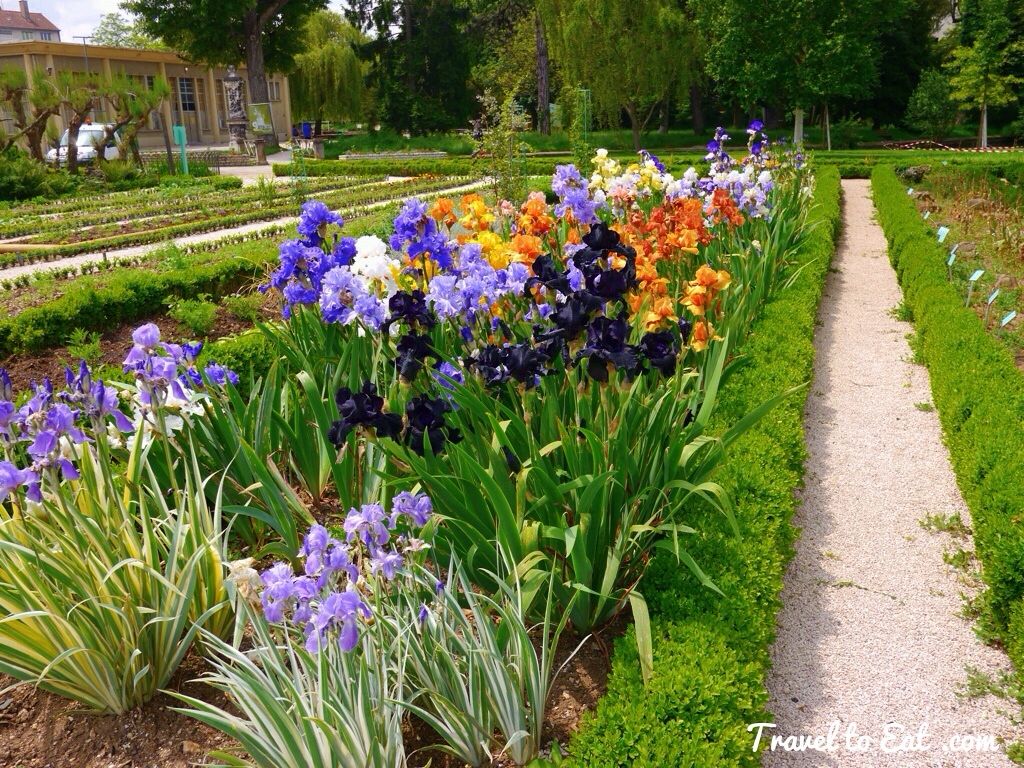 https://mdw-travel-data-us-east-1.s3.amazonaws.com/img/country/France/Arquebuse-Botanic-Gardens/img_01.jpg