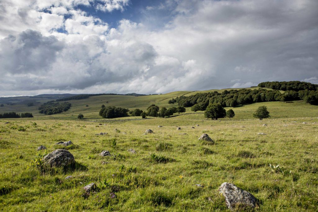 https://mdw-travel-data-us-east-1.s3.amazonaws.com/img/country/France/Aubrac-Plateau/img_01.jpg