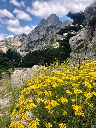 https://mdw-travel-data-us-east-1.s3.amazonaws.com/img/country/France/Bavella-Needles/img_01.jpg