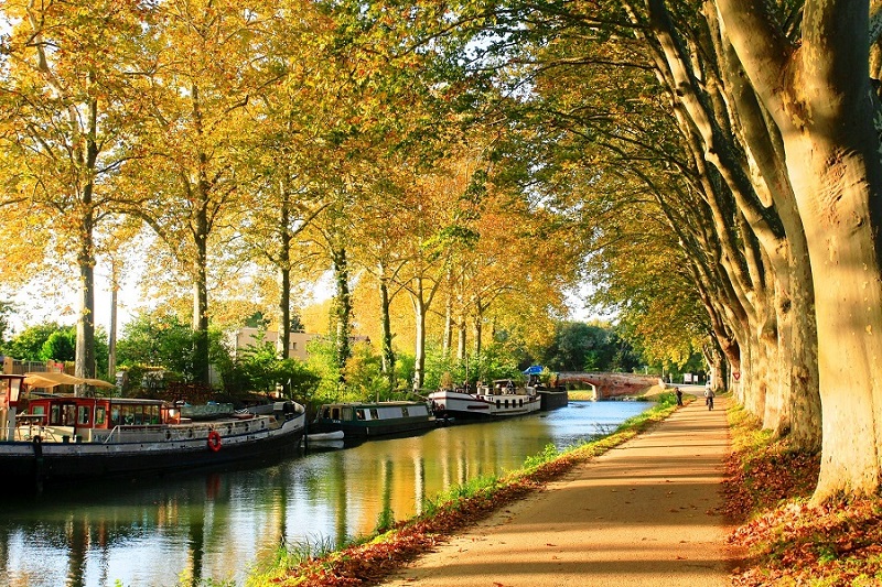 https://mdw-travel-data-us-east-1.s3.amazonaws.com/img/country/France/Canal-du-Midi/img_01.jpg