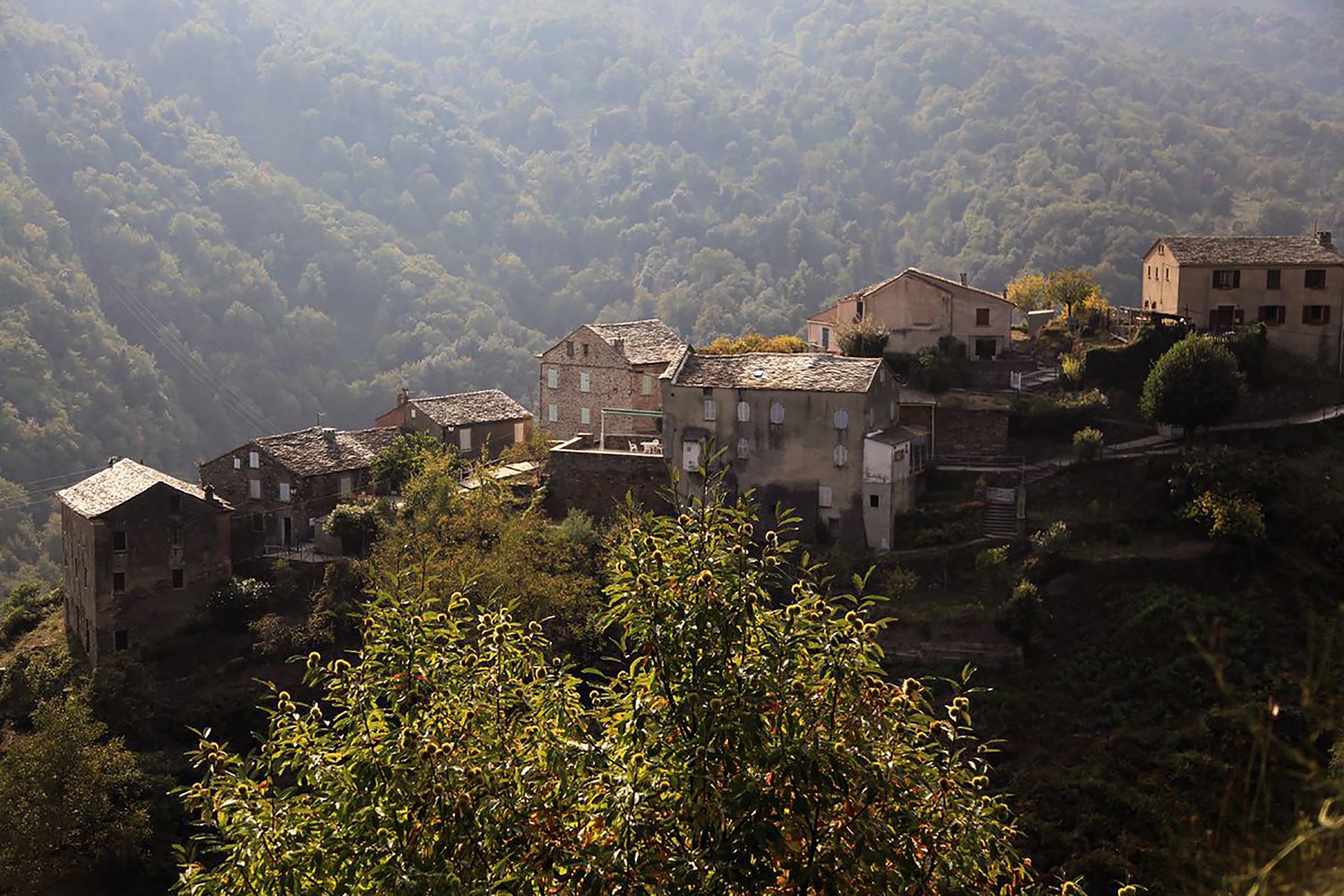 https://mdw-travel-data-us-east-1.s3.amazonaws.com/img/country/France/Castagniccia/img_01.jpg