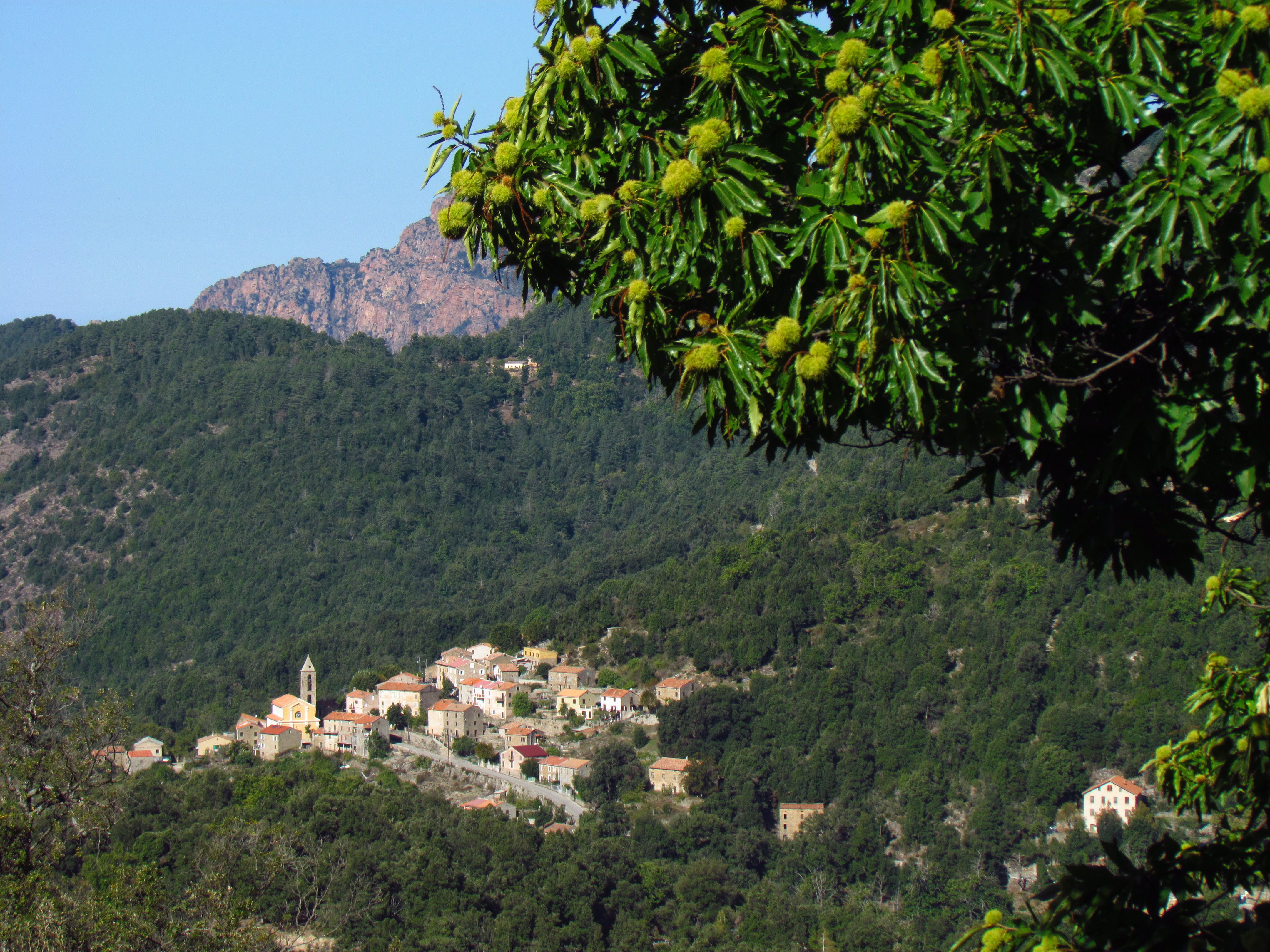 https://mdw-travel-data-us-east-1.s3.amazonaws.com/img/country/France/Castagniccia/img_02.jpg