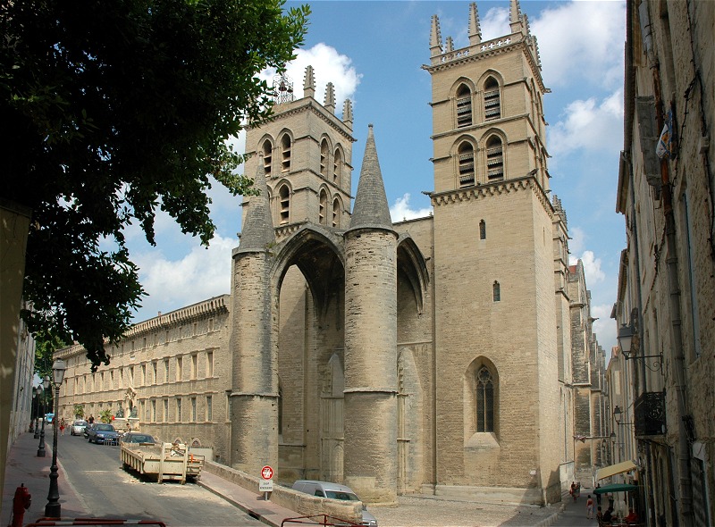 https://mdw-travel-data-us-east-1.s3.amazonaws.com/img/country/France/Cathedrale-Saint-Pierre-de-Montpellier/img_03.jpg