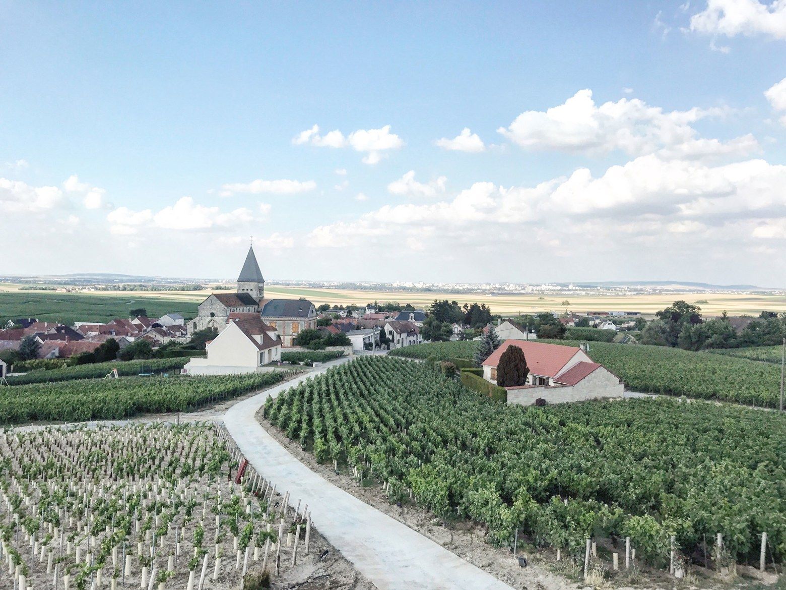 https://mdw-travel-data-us-east-1.s3.amazonaws.com/img/country/France/Champagne-Demoiselle/img_01.jpg