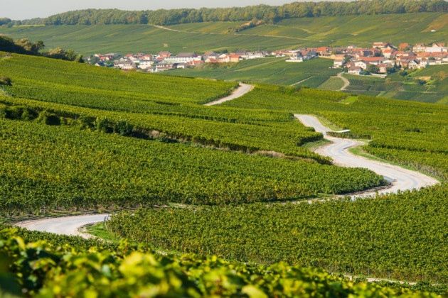 https://mdw-travel-data-us-east-1.s3.amazonaws.com/img/country/France/Champagne-Demoiselle/img_03.jpg
