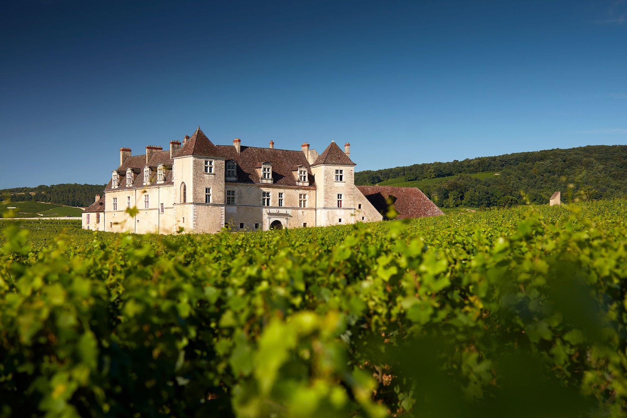https://mdw-travel-data-us-east-1.s3.amazonaws.com/img/country/France/Chateau-du-Clos-de-Vougeot/img_00.jpg