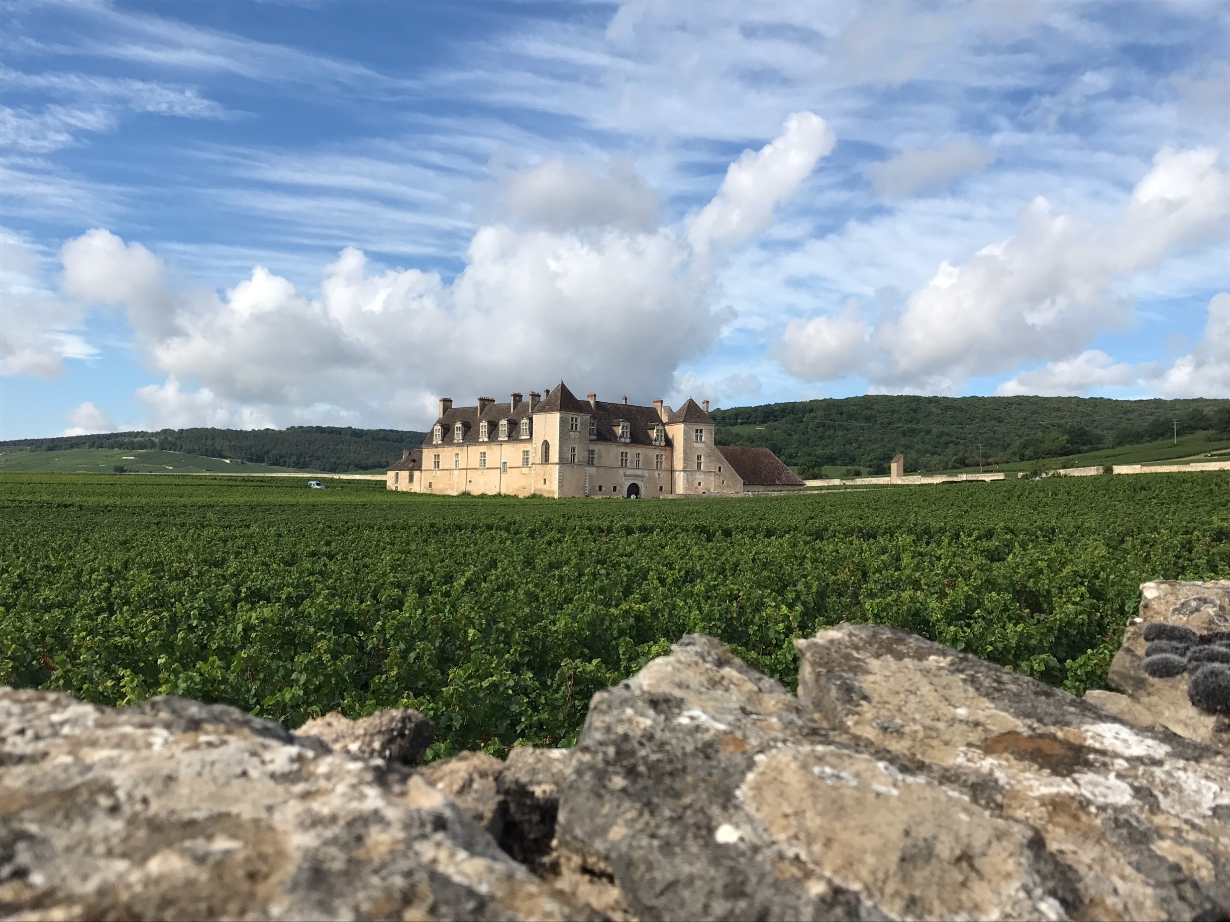 https://mdw-travel-data-us-east-1.s3.amazonaws.com/img/country/France/Chateau-du-Clos-de-Vougeot/img_01.jpg