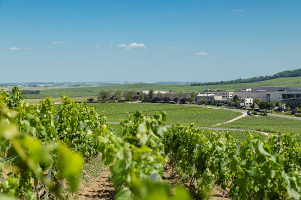 https://mdw-travel-data-us-east-1.s3.amazonaws.com/img/country/France/Discovery-Champagne-Nicolas-Feuillatte-Visitor-Centre/img_02.jpg