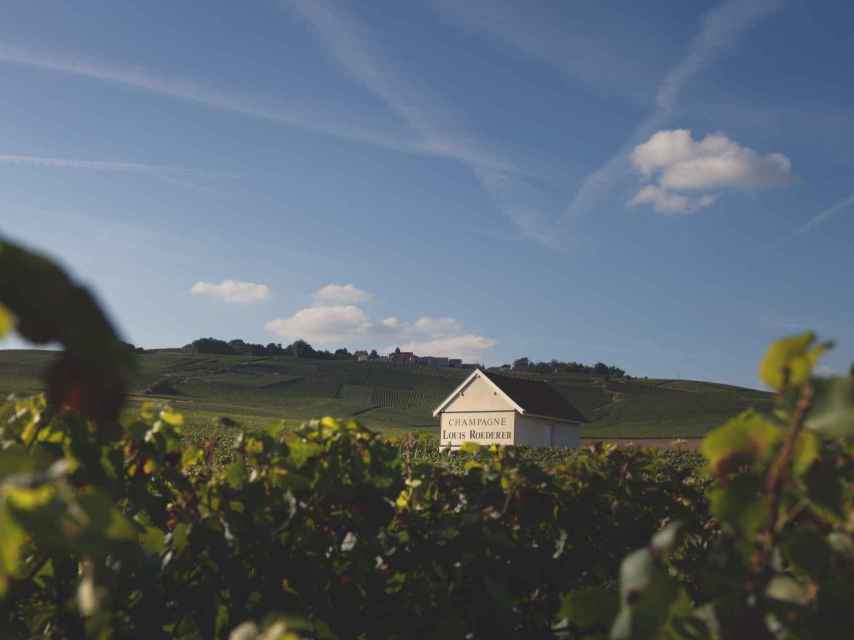 https://mdw-travel-data-us-east-1.s3.amazonaws.com/img/country/France/Famille-Roederer/img_05.jpg