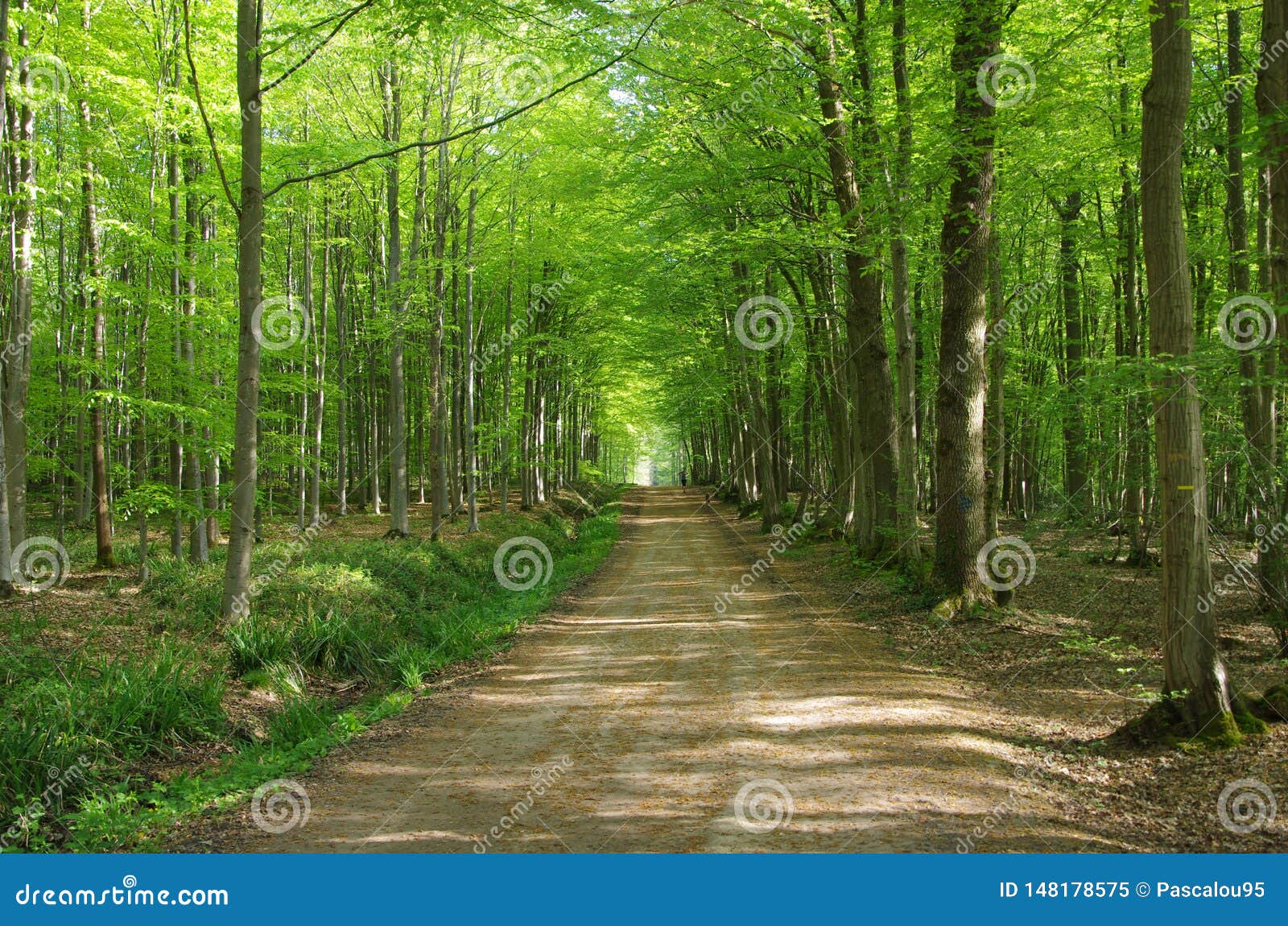 https://mdw-travel-data-us-east-1.s3.amazonaws.com/img/country/France/Forest-of-Montmorency/img_01.jpg