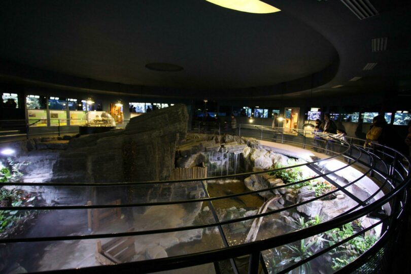 https://mdw-travel-data-us-east-1.s3.amazonaws.com/img/country/France/Grand-Aquarium/img_01.jpg