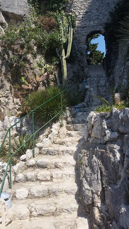 https://mdw-travel-data-us-east-1.s3.amazonaws.com/img/country/France/Jardin-Exotique-dEze/img_04.jpg