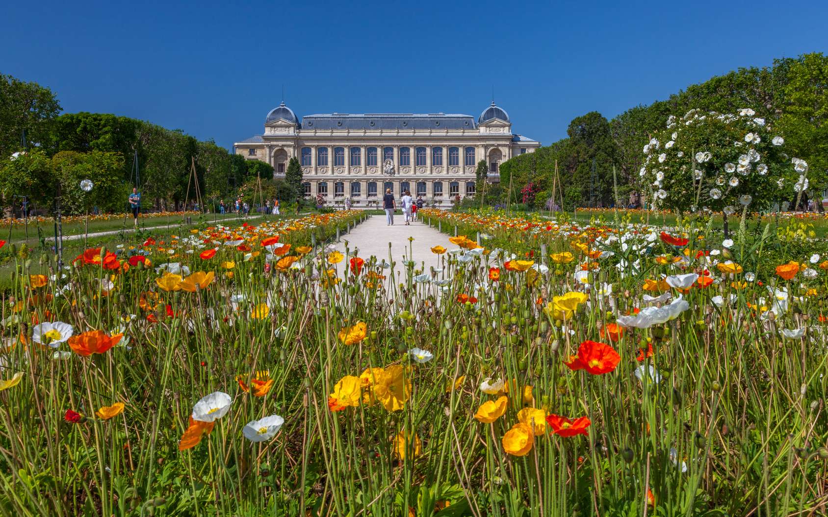 https://mdw-travel-data-us-east-1.s3.amazonaws.com/img/country/France/Jardin-des-Plantes/img_01.jpg