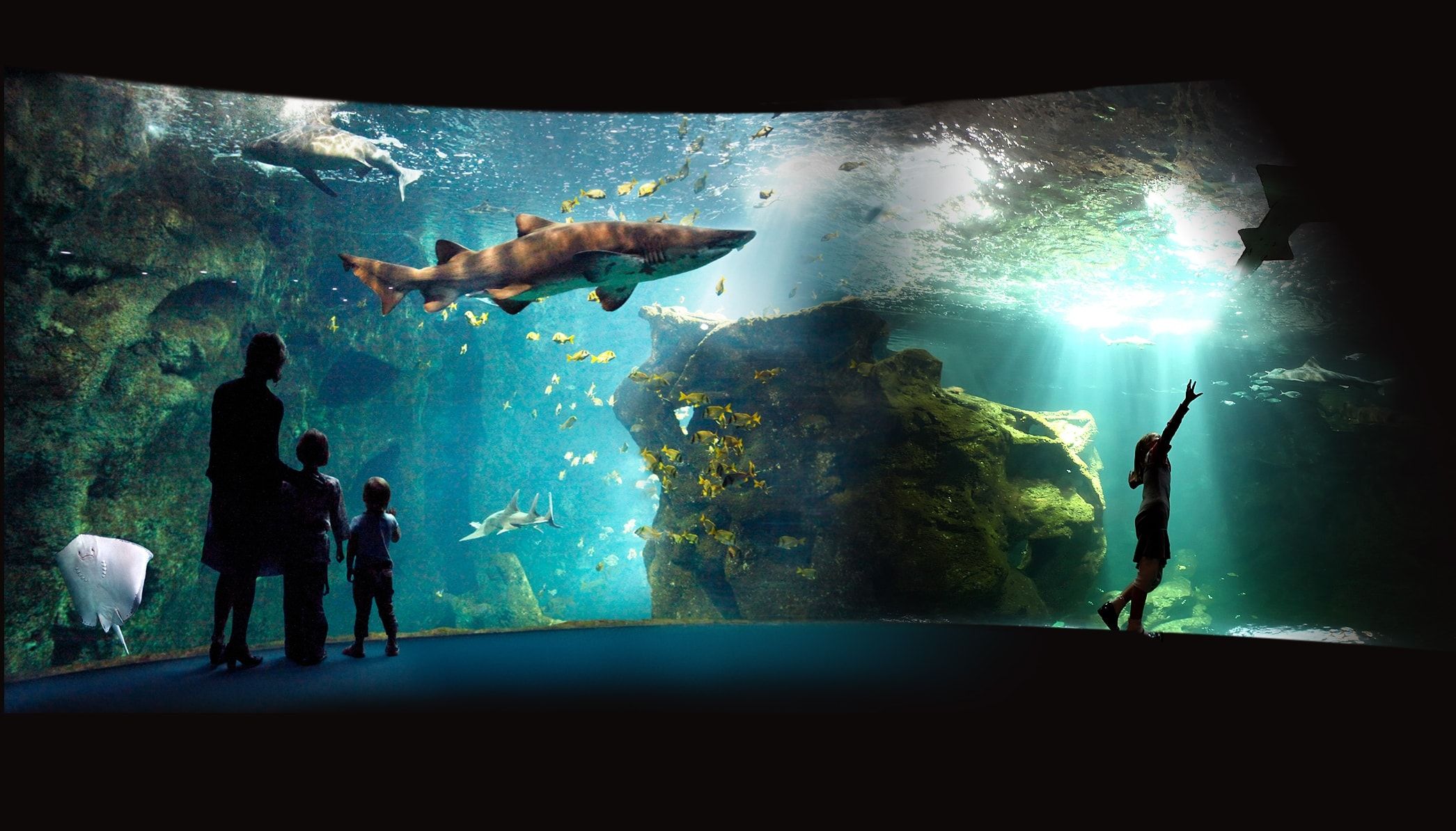 https://mdw-travel-data-us-east-1.s3.amazonaws.com/img/country/France/La-Rochelle-Aquarium/img_02.jpg