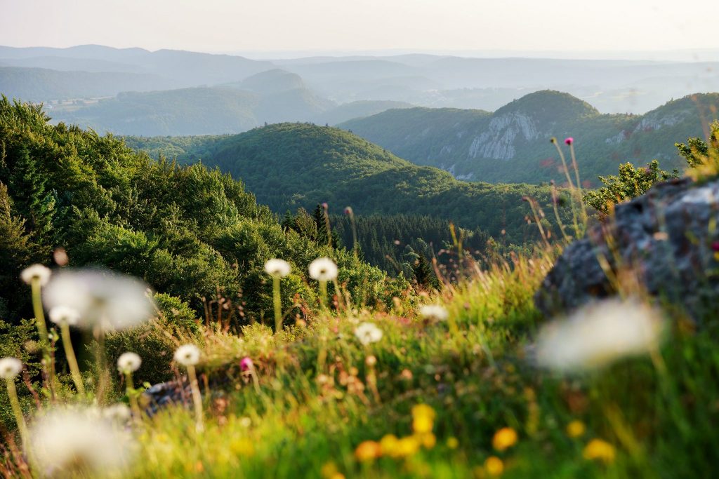 https://mdw-travel-data-us-east-1.s3.amazonaws.com/img/country/France/Le-Parc-Naturel-Regional-du-Haut-Jura/img_03.jpg