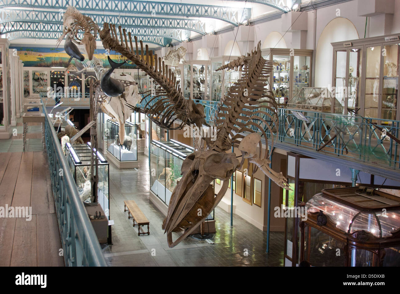 https://mdw-travel-data-us-east-1.s3.amazonaws.com/img/country/France/Lille-Natural-History-Museum/img_02.jpg