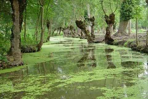 https://mdw-travel-data-us-east-1.s3.amazonaws.com/img/country/France/Marais-Poitevin/img_02.jpg