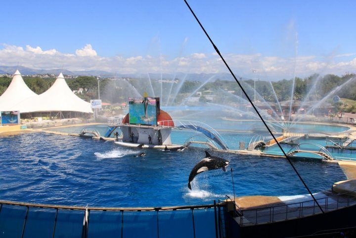 https://mdw-travel-data-us-east-1.s3.amazonaws.com/img/country/France/Marineland/img_02.jpg