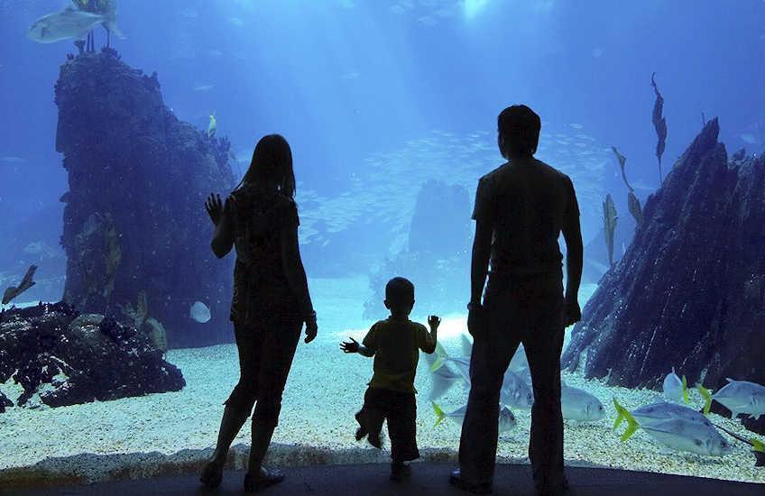 https://mdw-travel-data-us-east-1.s3.amazonaws.com/img/country/France/Marineland/img_03.jpg