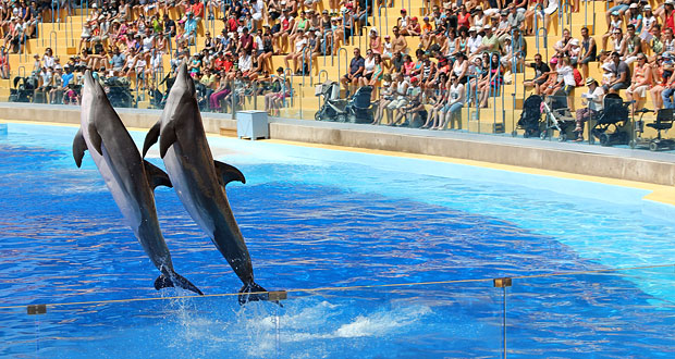 https://mdw-travel-data-us-east-1.s3.amazonaws.com/img/country/France/Marineland/img_04.jpg