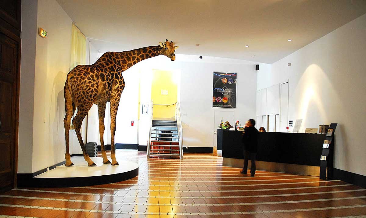 https://mdw-travel-data-us-east-1.s3.amazonaws.com/img/country/France/Musee-de-Grenoble-Auditorium/img_03.jpg
