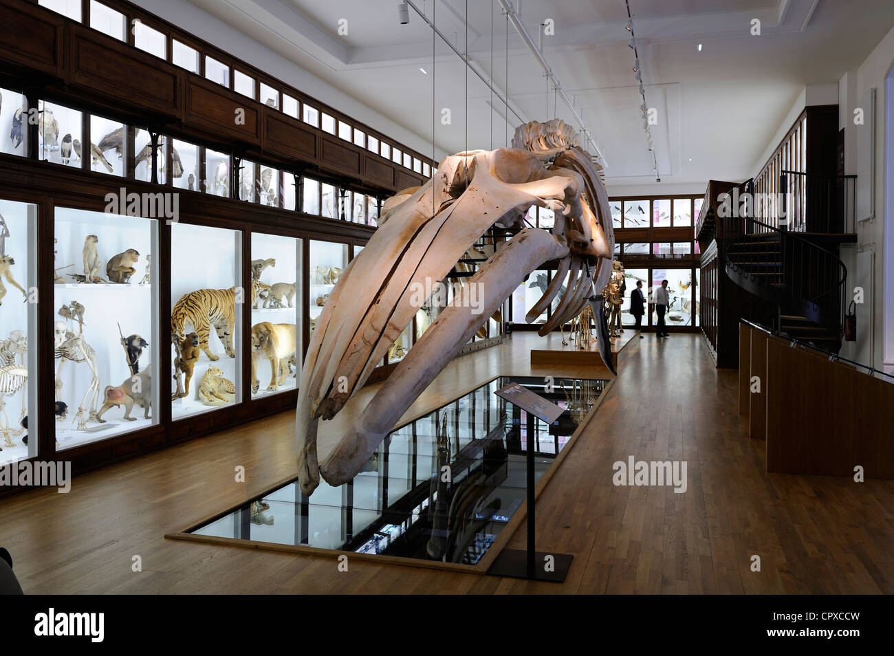 https://mdw-travel-data-us-east-1.s3.amazonaws.com/img/country/France/Nantes-Museum-of-Natural-History/img_01.jpg