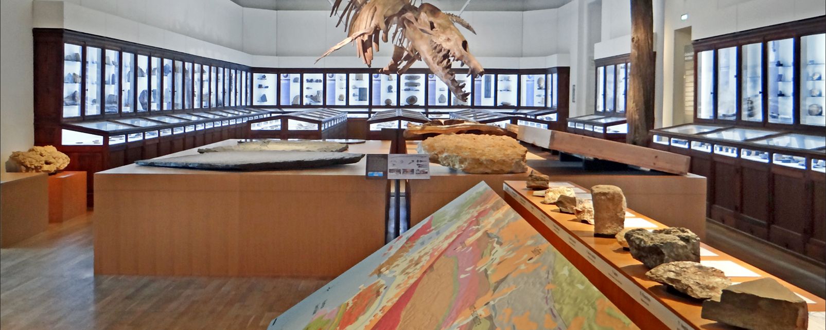 https://mdw-travel-data-us-east-1.s3.amazonaws.com/img/country/France/Nantes-Museum-of-Natural-History/img_02.jpg