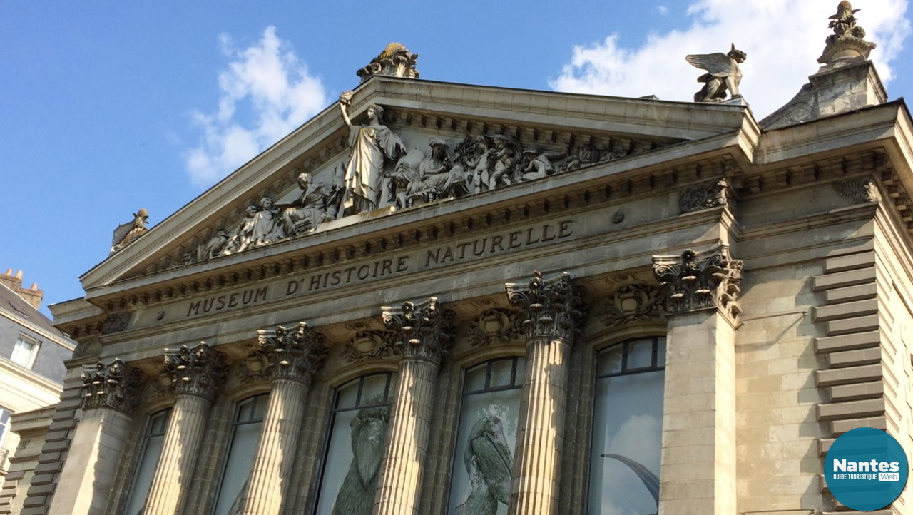 https://mdw-travel-data-us-east-1.s3.amazonaws.com/img/country/France/Nantes-Museum-of-Natural-History/img_03.jpg