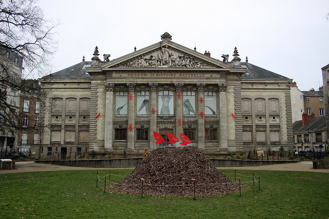 https://mdw-travel-data-us-east-1.s3.amazonaws.com/img/country/France/Nantes-Museum-of-Natural-History/img_04.jpg