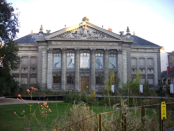 https://mdw-travel-data-us-east-1.s3.amazonaws.com/img/country/France/Nantes-Museum-of-Natural-History/img_05.jpg
