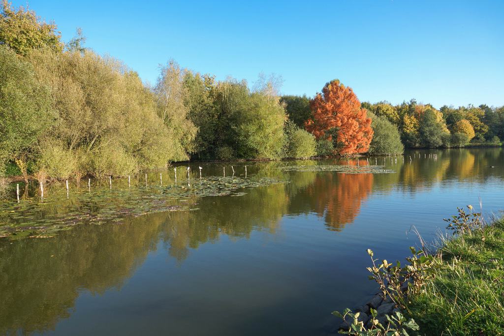 https://mdw-travel-data-us-east-1.s3.amazonaws.com/img/country/France/Parc-Gayeulles/img_00.jpg
